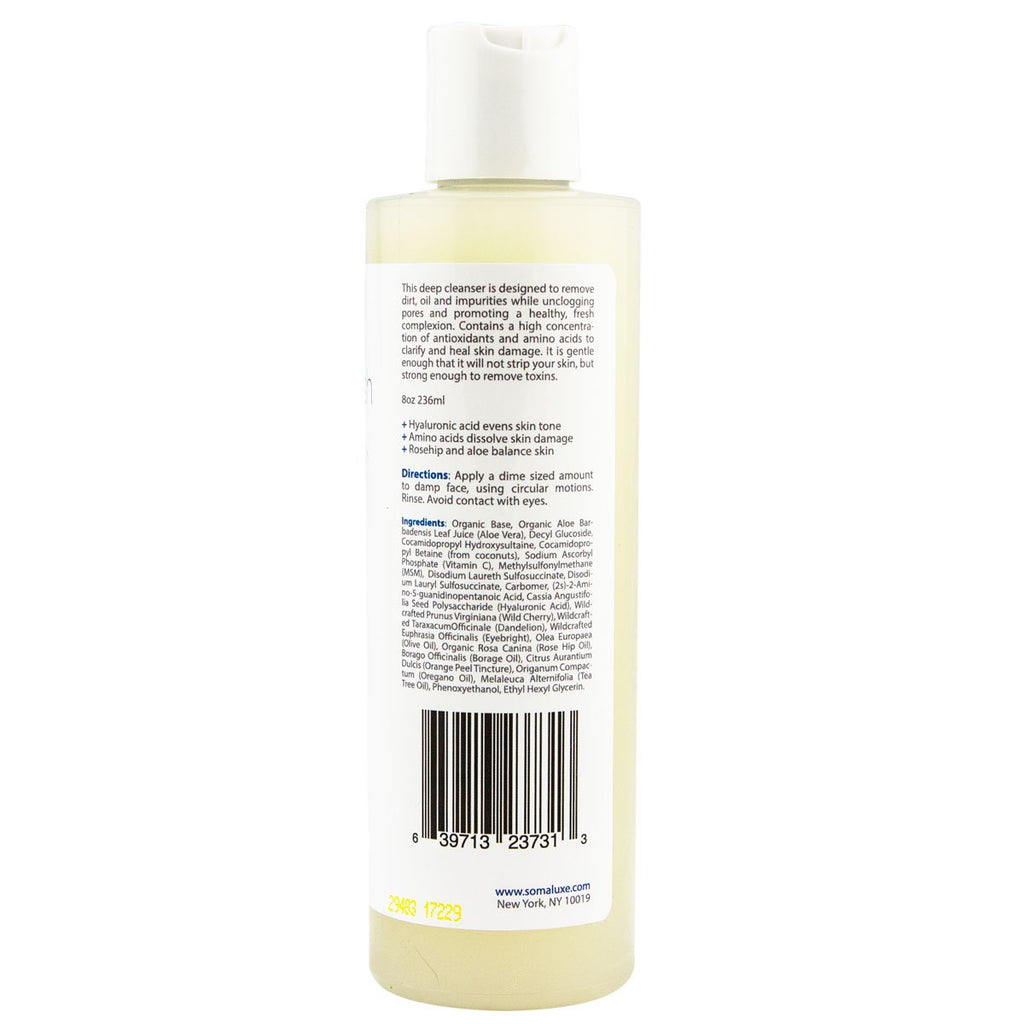 Somaluxe Hyaluronic Acid Face Wash with Vitamin C – Anti-Aging Daily Cleanser for All Skin Types, 8oz